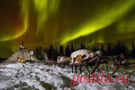 (99) Одноклассники