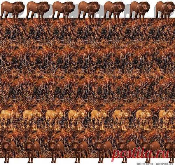 Пост для всех любителей стереограмм