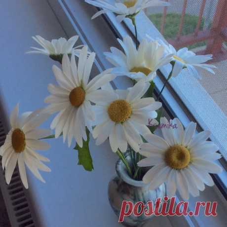 Ромашка домашняя:)