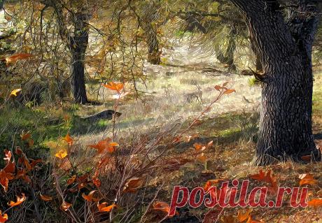 Скачать обои лес, деревья, осень, рендеринг, раздел в разрешении 2048x1421
