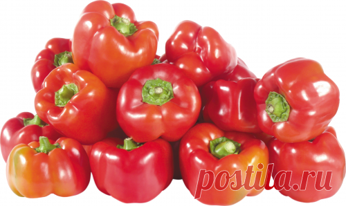 Дневник Явдоха