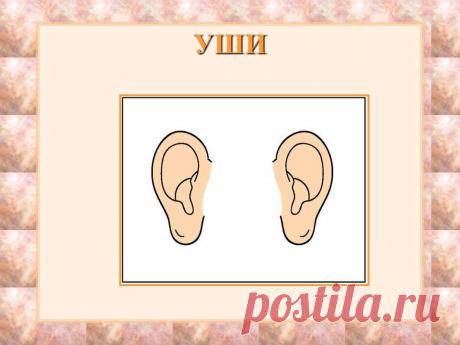 7358170.jpg (Изображение JPEG, 960 × 720 пикселов)