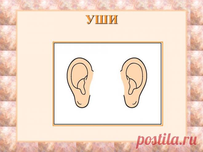 7358170.jpg (Изображение JPEG, 960 × 720 пикселов)