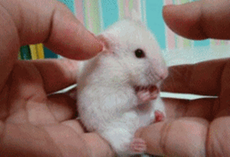 Мой Мир@Mail.Ru