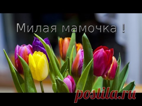 Милое поздравление . С днём рождения , мамочка ! Видео открытка для мамы
