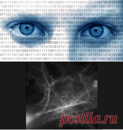 Лучший метод запоминать новую информацию