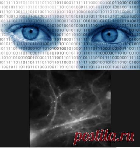 Лучший метод запоминать новую информацию