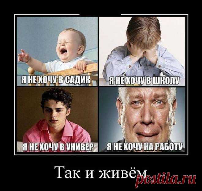 Демотиваторы на 11.09.2015г (30 фото) | Чёрт побери