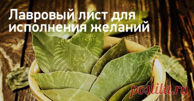 Привлекаем удачу и деньги: сильный заговор на лавровый лист -