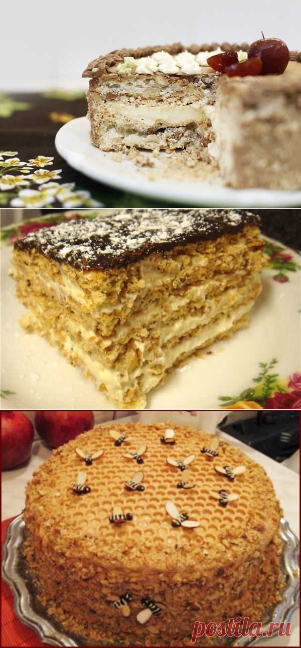 Почти два десятка вкуснейших тортов - выбирайте!
