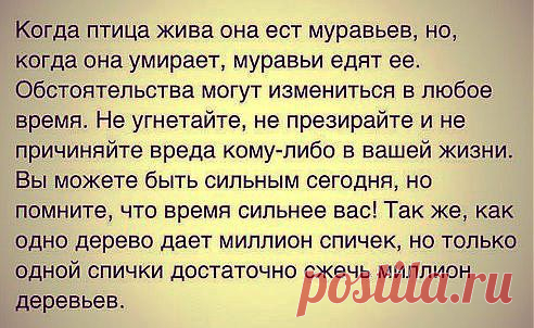 (24) Одноклассники