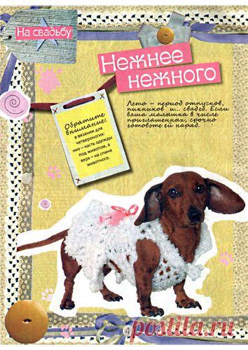 Одежда для домашних животных | Записи в рубрике Одежда для домашних животных | ЯРМАРКА_РУКОДЕЛИЯ