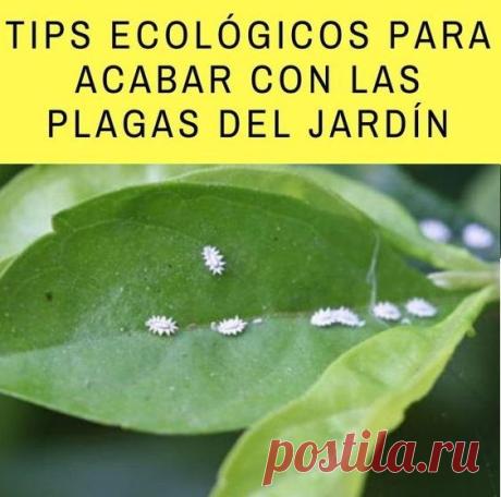 Prácticas Ideas para el Hogar...