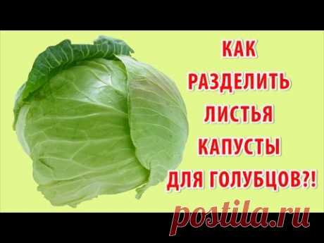 Как снять листья с капусты для голубцов быстро и легко  за 5 минут (видео рецепт). Готовим дома.