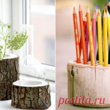 10 захватывающих идей, как можно использовать обычные пеньки
