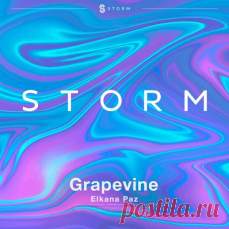 Elkana Paz - Grapevine