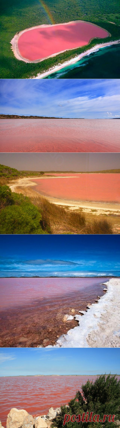 Что нового у друзей liudm.se2012 — я.ру