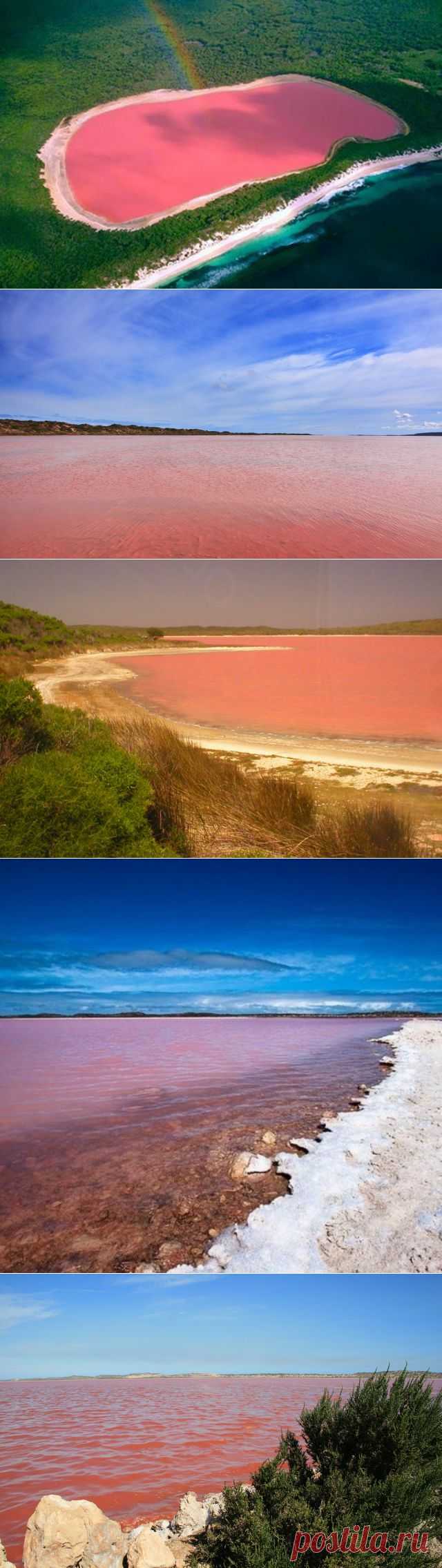 Что нового у друзей liudm.se2012 — я.ру