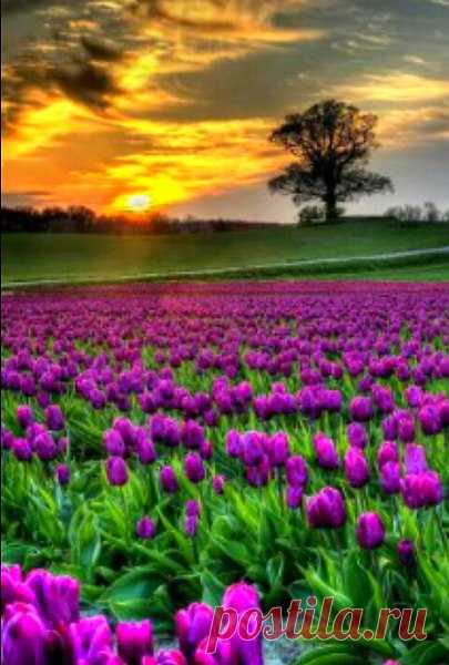 Интересные новости