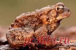 гифы с природой - 4 225 картинок. Поиск Mail.Ru