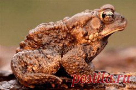 гифы с природой - 4 225 картинок. Поиск Mail.Ru