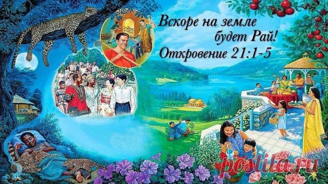 Фото Без названия. Альбом Слава ИЕГОВЕ-Владыке Вселенной! - 116 фото. Фотографии Артем Фролов.