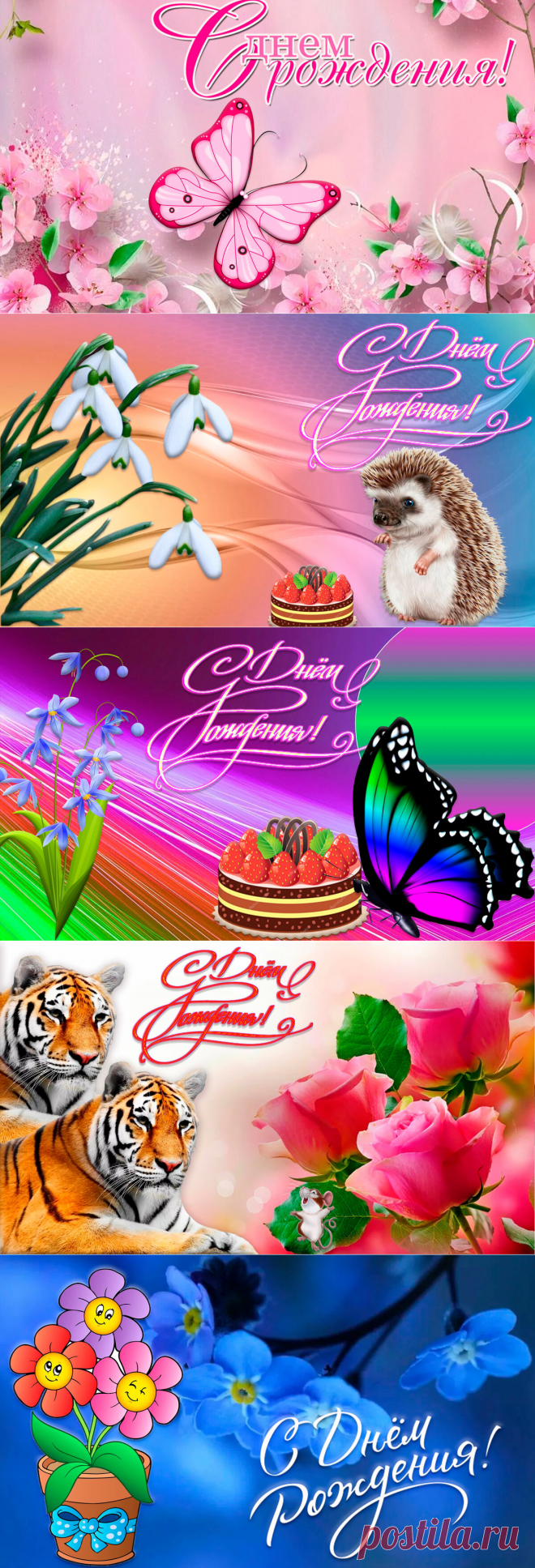 Поздравительные открытки с Днем рождения женщине. Открытки с Днем рождения женщине красивые. Поздравить с Днем рождения своими словами | С Днем рождения | Яндекс Дзен