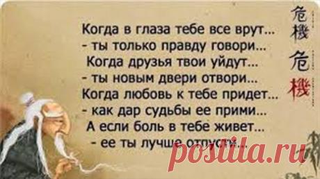 Мудрые слова и не менее мудрые советы — Копилочка полезных советов