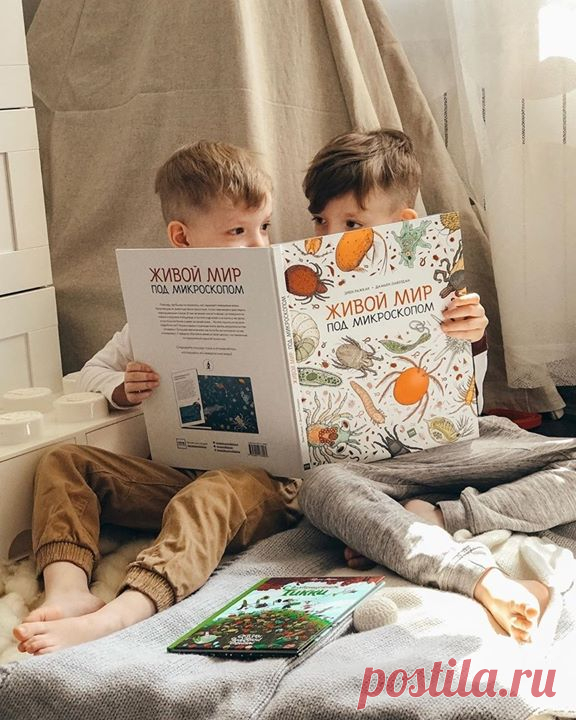 🔎 Познавательные книги по биологии, естествознанию и анатомии. Они расскажут что-то новое и помогут закрепить школьные знания. «Живой мир под микроскопом» Книга про мир микроскопических существ, которые поддерживают природное равновесие. На красочных раскладных страницах с большим увеличением и в масштабе показаны обитатели десяти микроэкосистем. Жизнь в капельке морской воды. Комочке песка с пляжа. Веточке мха. И в грунте со дна Атлантического океана (6+) → mif.to/h7JDL «Профессор Астрокот и…