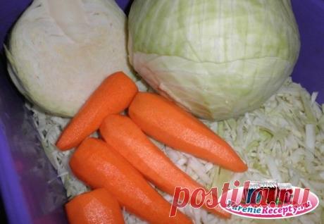 Засолка капусты в банках