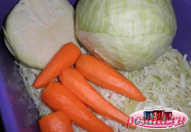 Засолка капусты в банках