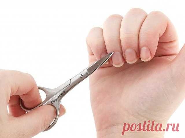 (63) Одноклассники
