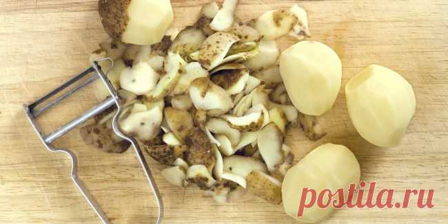 Как использовать картофельные очистки в качестве удобрения в огороде и не только