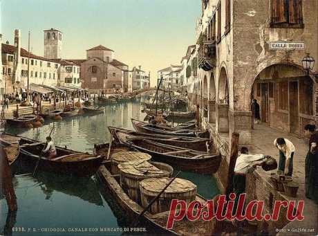 34 старинных, цветных фотографий. Венеция конца 19 века  |  Pinterest