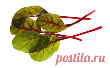 Пхали бывает разное – белое, зелёное, красное… Приготовим? | Еда и кулинария