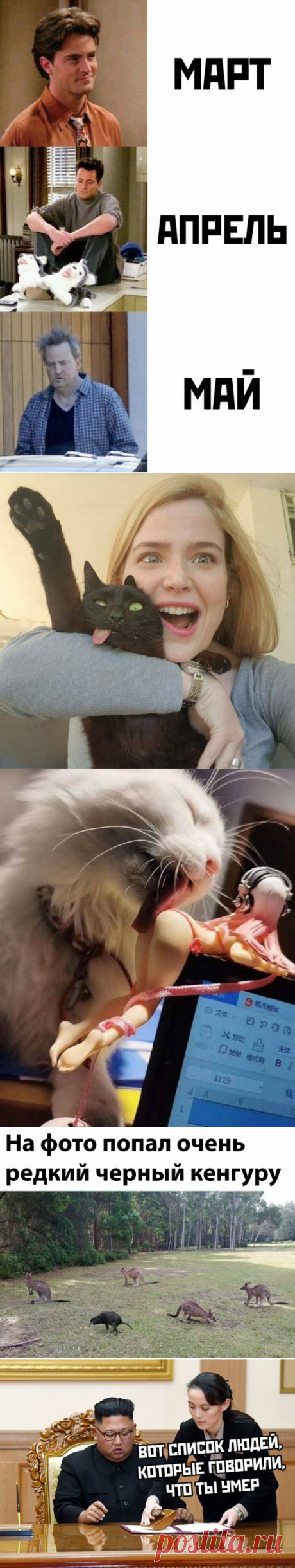 Прикольные картинки-250 | glebas@tut.by | Яндекс Дзен