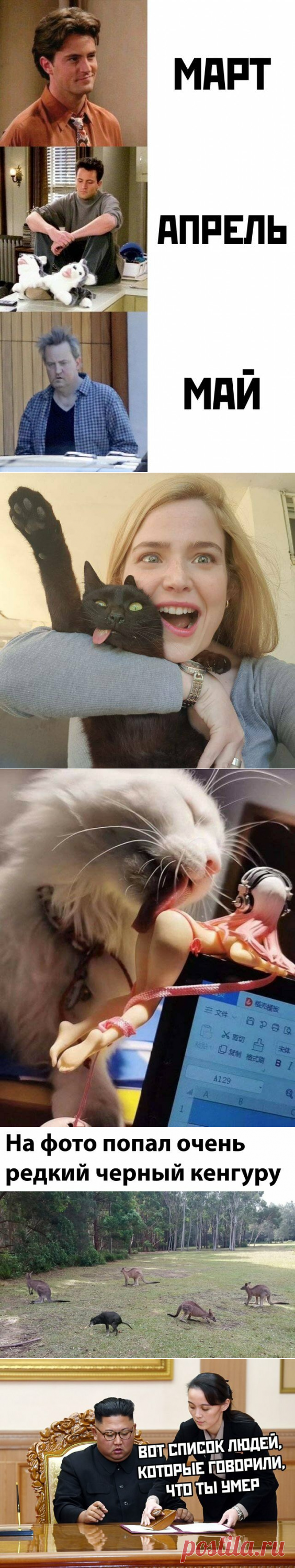 Прикольные картинки-250 | glebas@tut.by | Яндекс Дзен