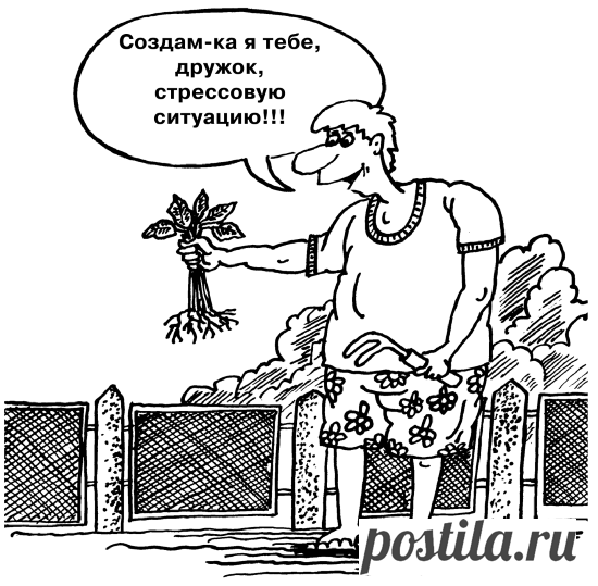 Томаты. Большая книга огородника и садовода. Все секреты плодородия