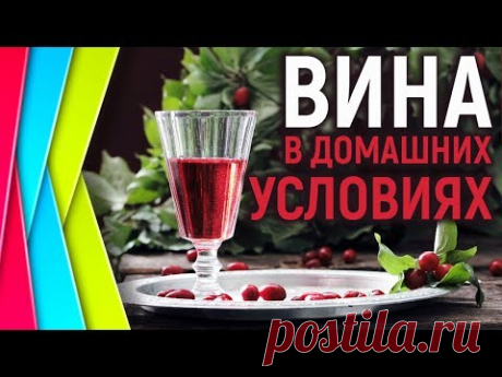 Как приготовить НАСТОЙКУ ИЗ РЯБИНЫ КРАСНОЙ! СУПЕР РЕЦЕПТ!