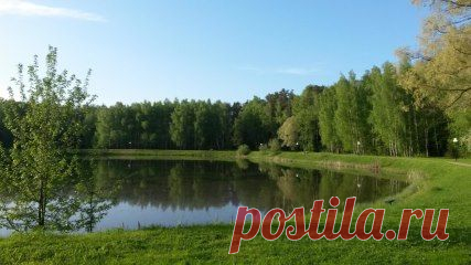 Одноклассники