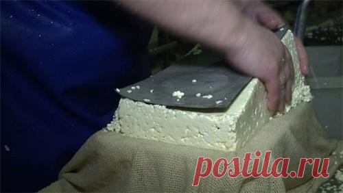 Теория заговора. Торговцы молочными продуктами