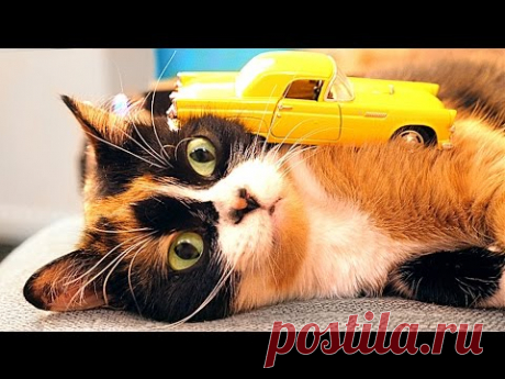 10 ЛАЙФХАКОВ ДЛЯ АВТОМОБИЛЯ!
