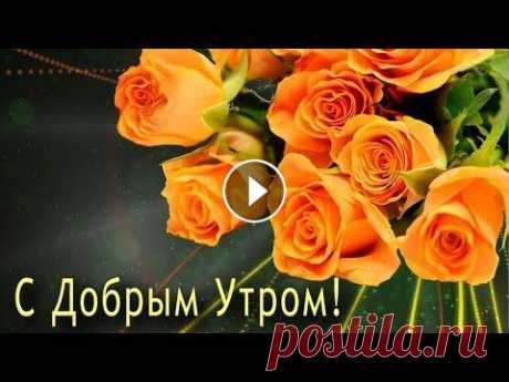 ✅С Добрым Утром! С Новым Днем!✅Анимационная открытка 4К ✅С Добрым Утром! С Новым Днем!✅Анимационная открытка 4К *** Благодарю за подписку, лайки, комментарии! *** ДВЕ ДУШИ: Наталья_Топчий: Наталья Топчий: M...
