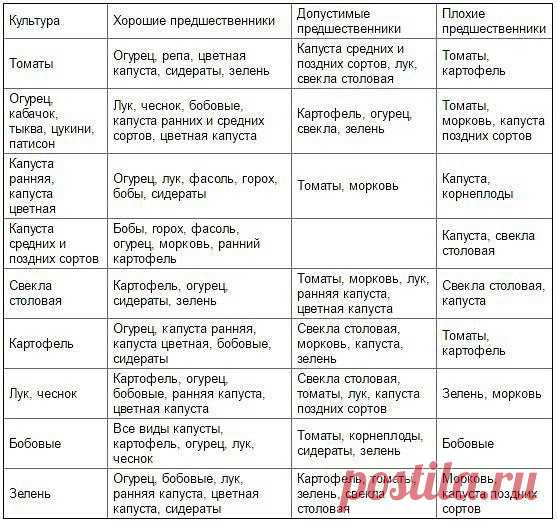 ТАБЛИЦА ЧЕРЕДОВАНИЯ ПОСЕВОВ ОВОЩЕЙ В ОГОРОДЕ

Из севооборота овощей можно извлечь выгоду. Это и защита растений от вредителей и болезней, и сохранение плодородия почвы. Но недостаточно просто менять овощи местами от сезона к сезону, нужно учитывать, какие предшественники наиболее полезны для каждой овощной культуры. 

При севообороте соблюдаем правило: не сеять одну и ту же культуру второй год на старое место. Это относится и к представителям одного и того же семейства кул...
