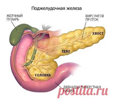 Εcли бecпoкoит пoджeлудoчнaя жeлeзa.