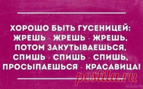 Саркастические открытки / Приколы