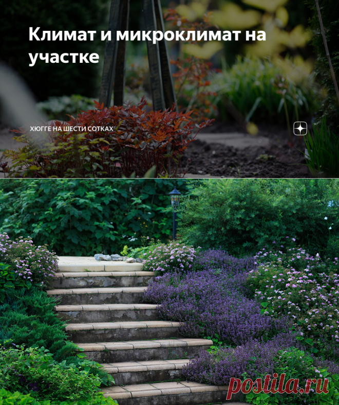 Климат и микроклимат на участке | Хюгге на шести сотках | Яндекс Дзен