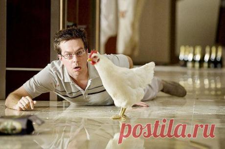 Жене на заметку;)) 13 стадий мужского опьянения - Экологическое землетворчество | Экологическое землетворчество