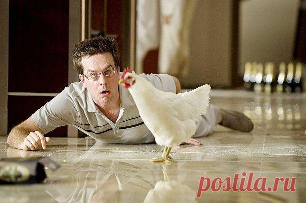 Жене на заметку;)) 13 стадий мужского опьянения - Экологическое землетворчество | Экологическое землетворчество