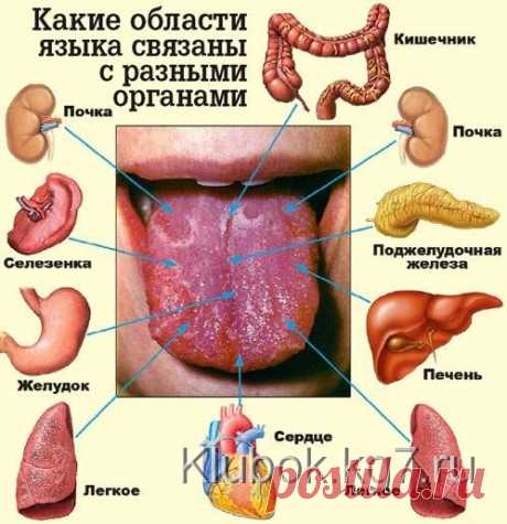 Сумки | Клубок
